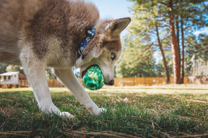 Ruffwear Morel™ Dog Toy