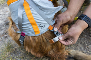 Ruffwear BackTrak Dog Evacuation Kit