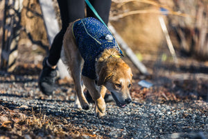 Ruffwear Climate Changer Fleece Jacket