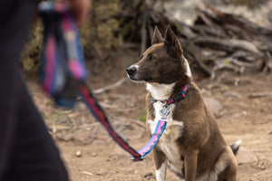 Ruffwear Crag Collar