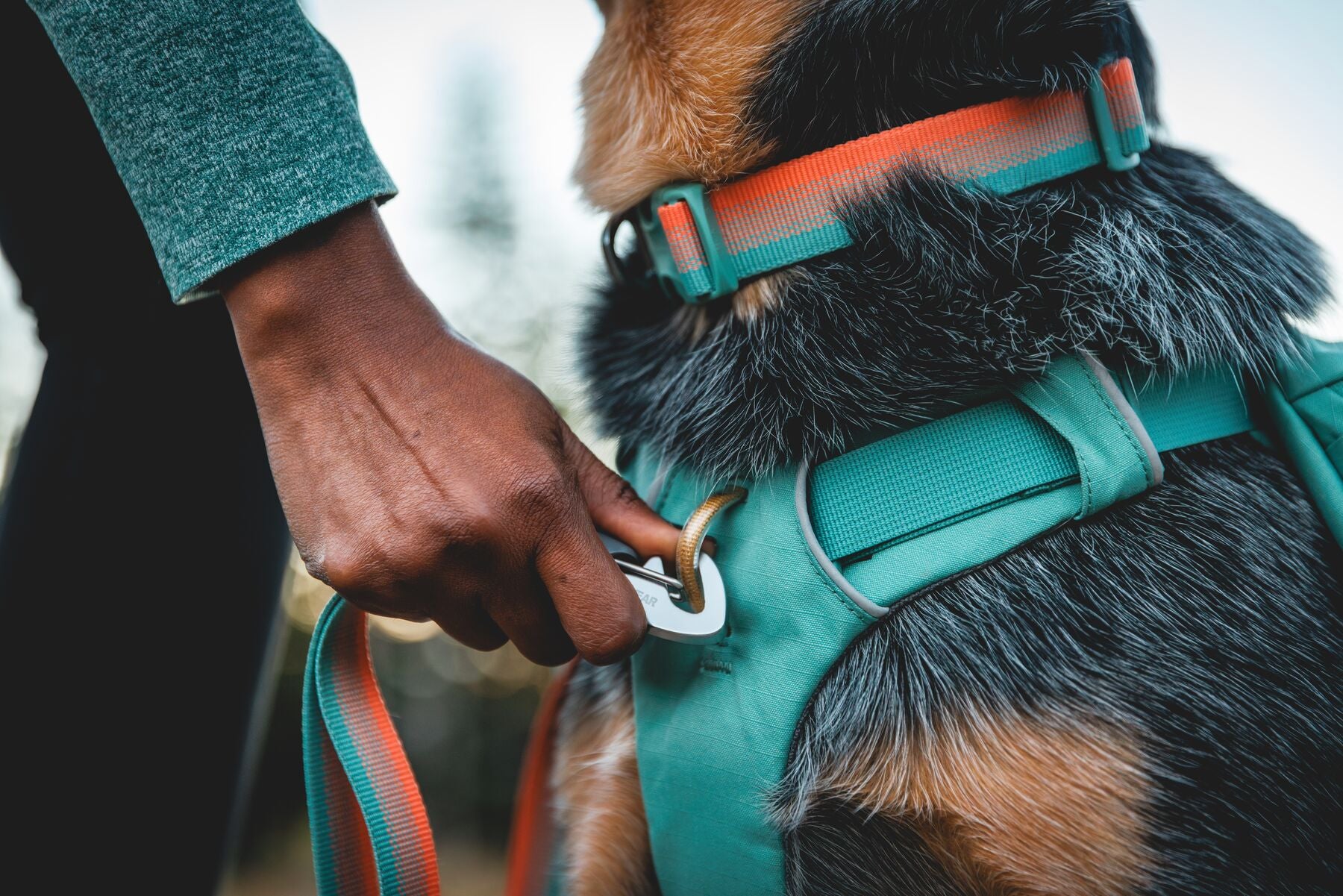 Ruffwear Front Range Leash