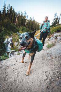 Ruffwear Front Range Day Pack
