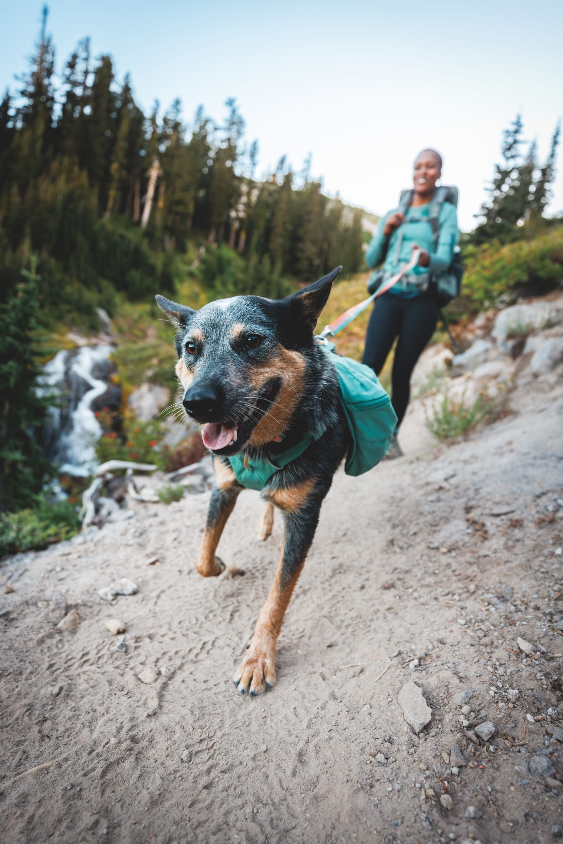 Ruffwear Front Range Day Pack