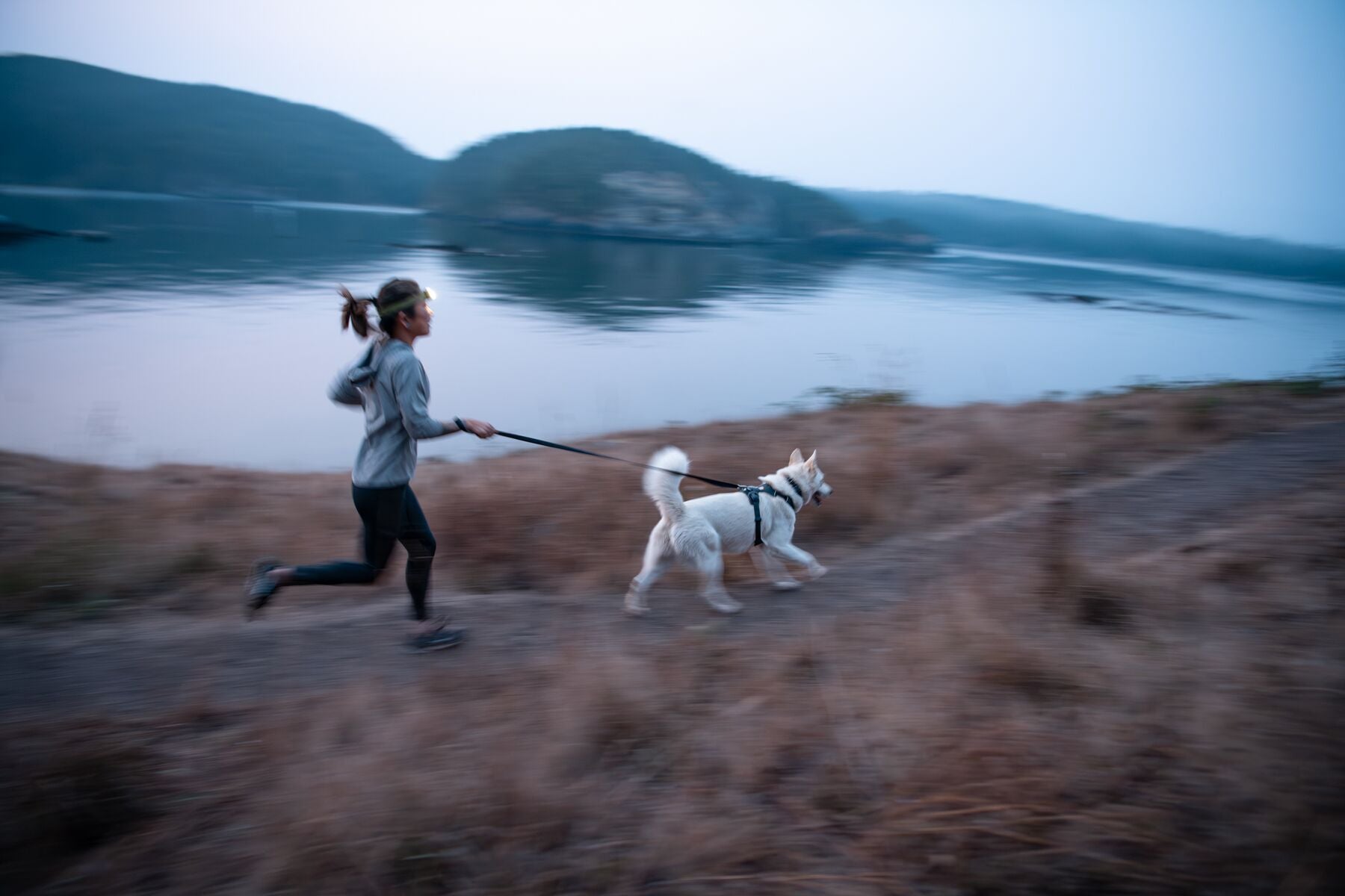 Ruffwear Front Range Harness