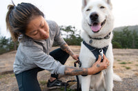 Ruffwear Front Range Harness