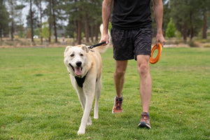 Ruffwear Front Range Short Leash