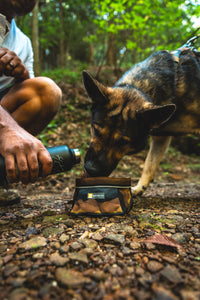 Ruffwear Quencher Bowl