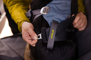 Ruffwear Load Up Harness