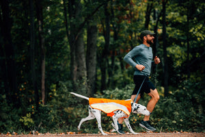 Ruffwear Lumenglow High-Vis Jacket