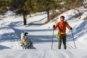 Ruffwear Omnijore Joring System