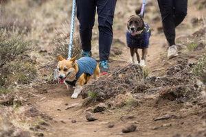 Ruffwear Stumptown Jacket