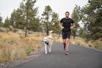 Ruffwear Switchbak Leash