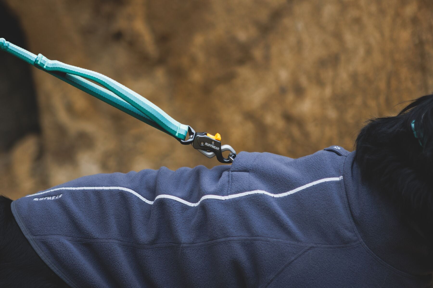 Ruffwear Roamer Lock™ Bungee Leash