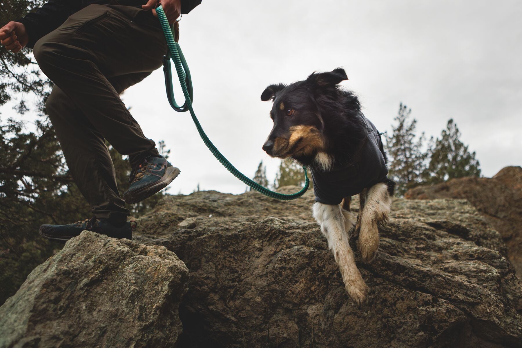 Ruffwear Roamer Lock™ Bungee Leash