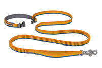Ruffwear Roamer Bungee Leash