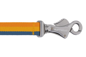 Ruffwear Roamer Bungee Leash