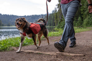 Ruffwear Flat Out Leash - Final Sale*