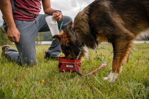 Ruffwear Flat Out Leash - Final Sale*