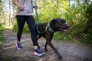 Ruffwear Crag Leash - Final Sale*