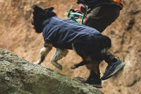 Ruffwear Climate Changer™ Fleece Jacket