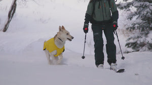 Ruffwear Vert Jacket - USED GEAR - FINAL SALE