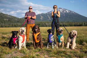 Ruffwear Front Range Harness - Final Sale*