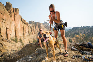 Ruffwear DoubleBack Harness