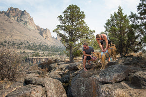 Ruffwear DoubleBack Harness