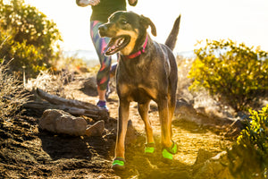 Ruffwear Hoopie Collar - Final Sale*