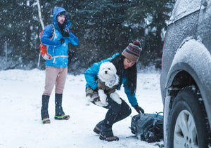 Hillsound Trail Crampons