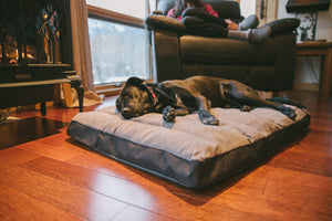 Ruffwear Restcycle Bed