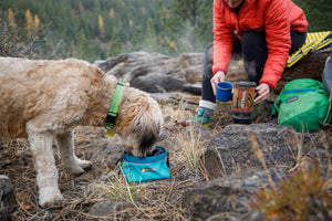 Ruffwear Quencher Cinch Top