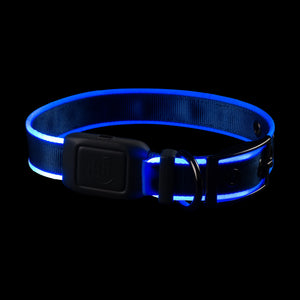 Nite Ize NiteDog Rechargeable LED Collar