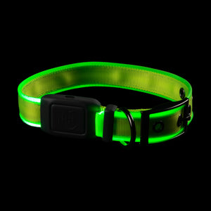 Nite Ize NiteDog Rechargeable LED Collar