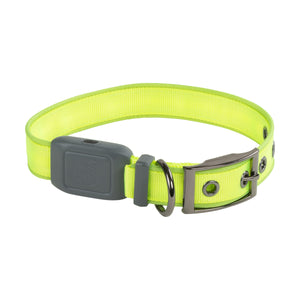 Nite Ize NiteDog Rechargeable LED Collar