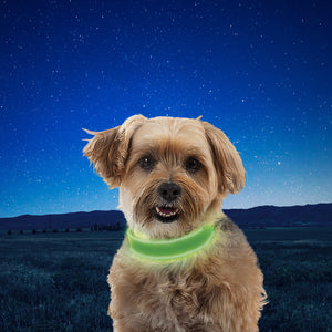 Nite Ize NiteDog Rechargeable LED Collar