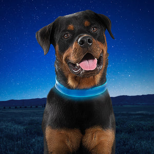 Nite Ize NiteDog Rechargeable LED Collar