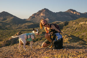 Ruffwear Swamp Cooler Harness