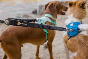 Ruffwear Double Track Coupler