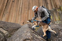 Ruffwear Flagline Harness