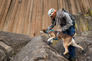 Ruffwear Flagline Harness