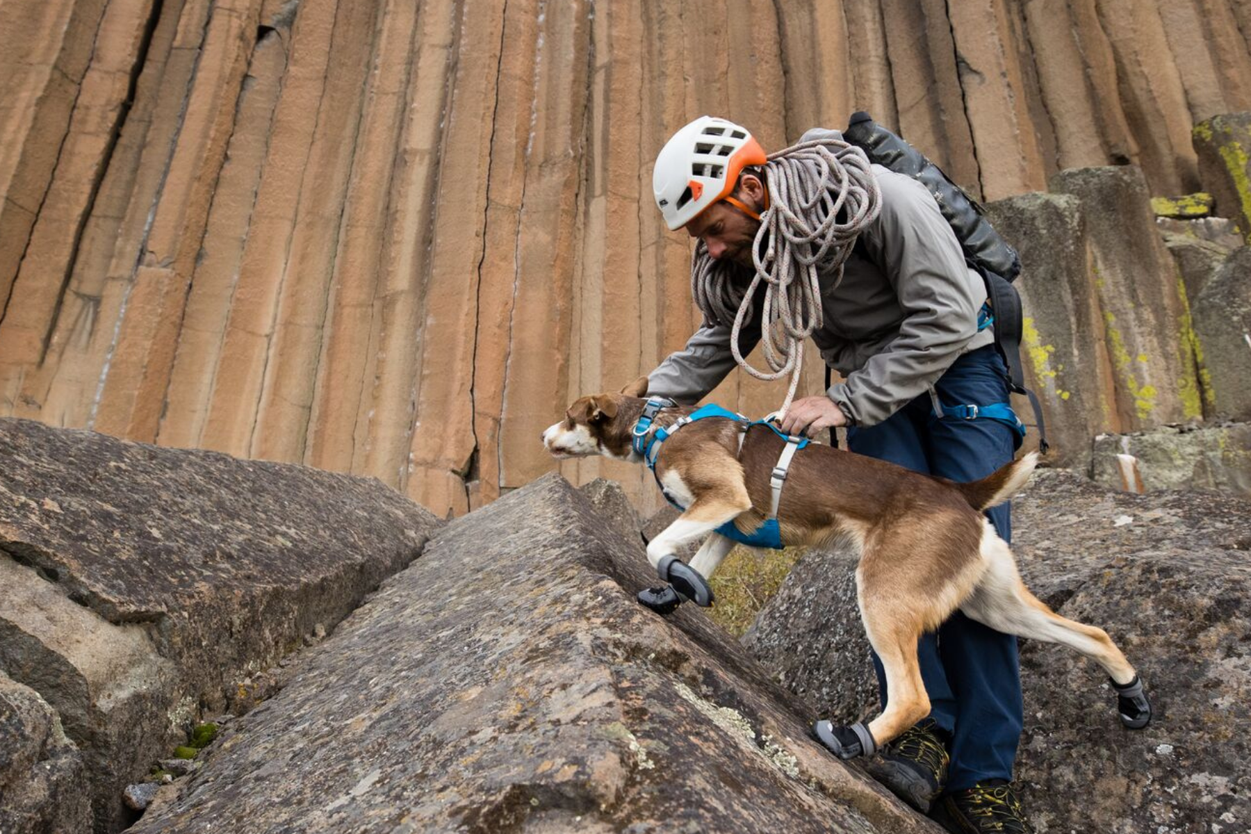 Ruffwear Flagline Harness