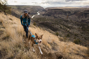 Ruffwear Flagline Leash