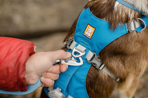 Ruffwear Flagline Harness