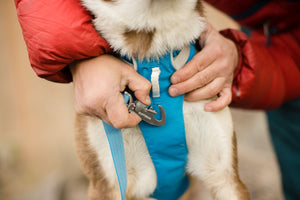 Ruffwear Flagline Harness