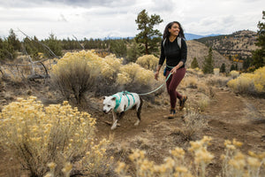 Ruffwear Flagline Leash