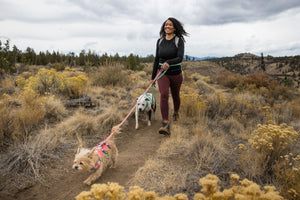 Ruffwear Hi & Light Leash