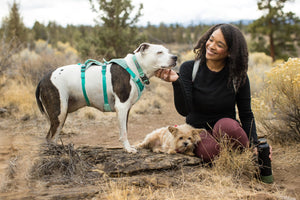 Ruffwear Flagline Harness