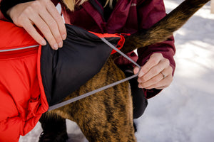 Ruffwear Furness Jacket