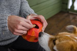 Ruffwear Gnawt-a-Rock